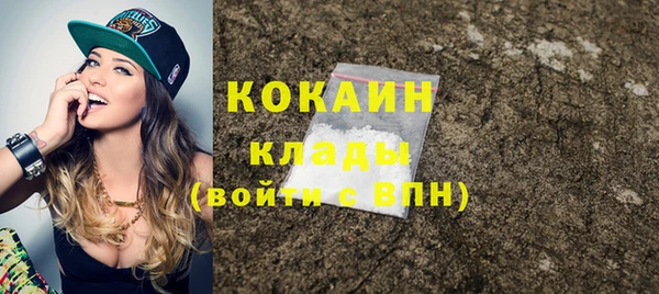 сатива Мегион