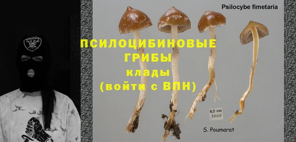 сатива Мегион