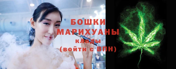 крисы Медвежьегорск
