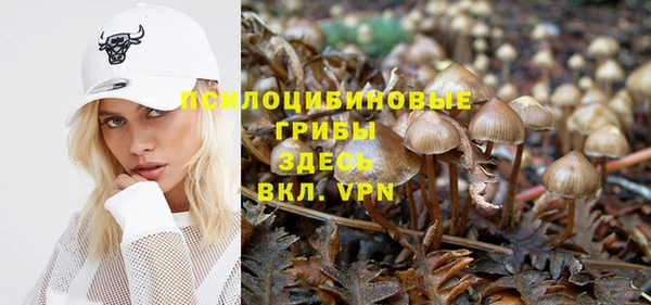 прущая мука Медногорск