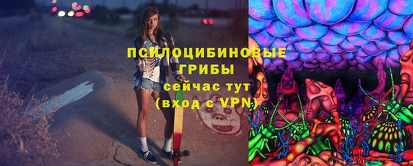 крисы Медвежьегорск