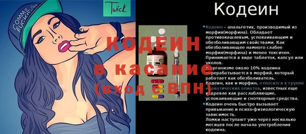 крисы Медвежьегорск
