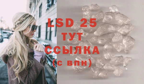 сатива Мегион
