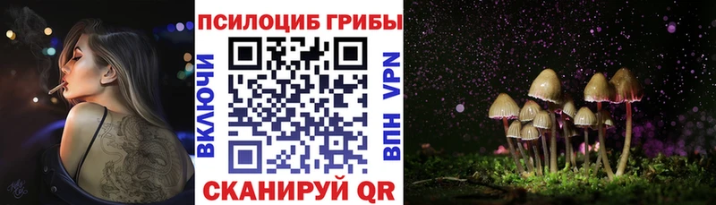 Галлюциногенные грибы мухоморы  МЕГА вход  Печора  где можно купить наркотик 