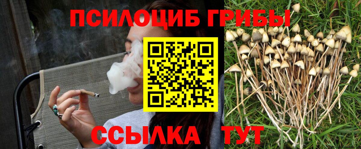 Галлюциногенные грибы мухоморы  Псилоцибиновые грибы Psilocybe  Печора 