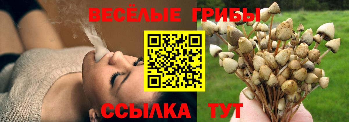 Галлюциногенные грибы мухоморы Печора